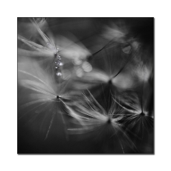Photo inscription n°1