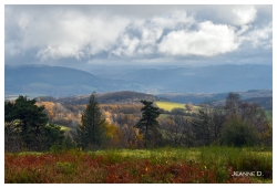Paysage automnal