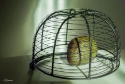 avocat en prison