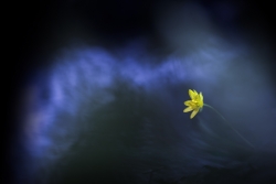 Puit de lumière