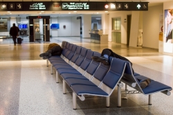 L'heure de la sieste