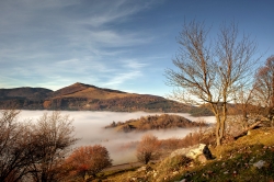 vue sur le grand ballon