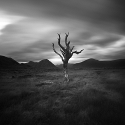 Lost Eden
