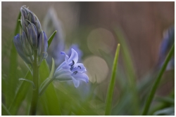 Dans le jardin ...