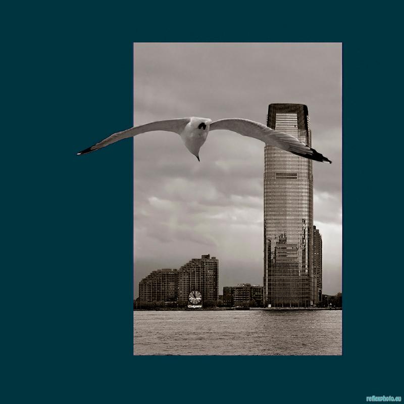 Projet d'affiche