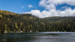 Vosges