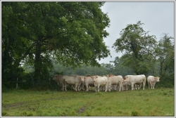 Photo de famille.