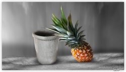 Pot en grès et ananas