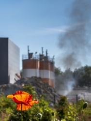 Industrie et nature