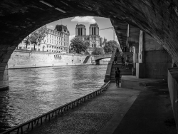 bord de Seine