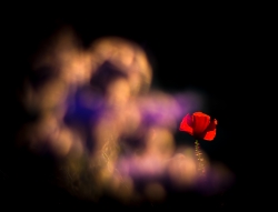Fort contre-jour