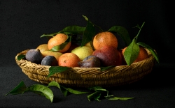 Nature morte