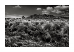 la pampa