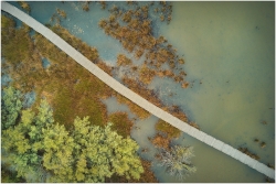 La passerelle