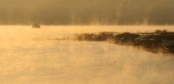 Dans le brume du matin