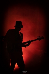 Reprise des concerts