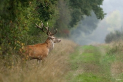 La rencontre.