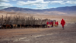 Activité des Masaï