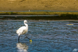 je marche sur l'eau