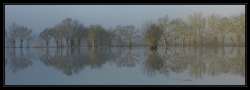 Miroir ...