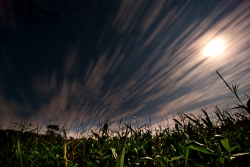 Fullmoon