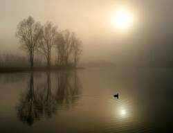 Photo inscription n°1