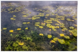 Le lac ...