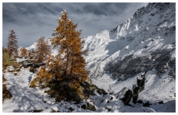 Chaud et froid dans le Loetschental...