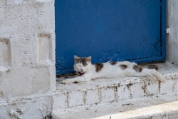 La sieste