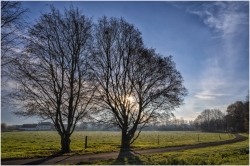 Chemins de campagne ...