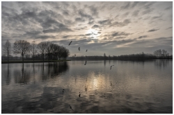 Le réveil du lac ...
