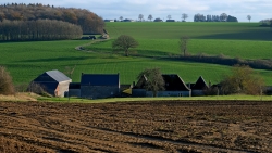 Que ma campagne est belle.