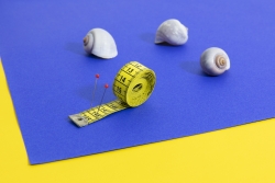 Nautilus