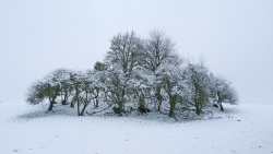 Entre Neige et brume.