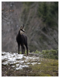 Dans les gorges de l'Orbe..