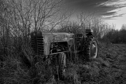 M Cormick