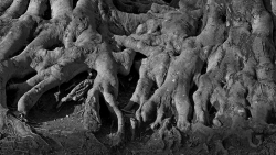 Inexorablement rattaché à la terre!
