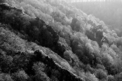 A flanc de Meuse.
