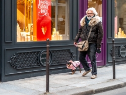 Duo : Tel maître, tel chien, ils s'habillent pareil !