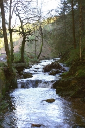 Au fil de l'eau
