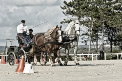 Une 2 chevaux ...