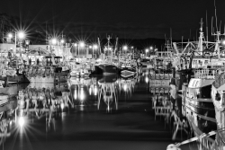 Les étoiles du port