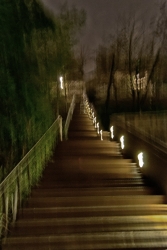 Lyon en marches