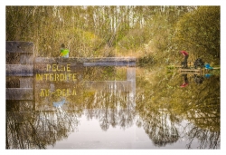 Pêche interdite au-delà !