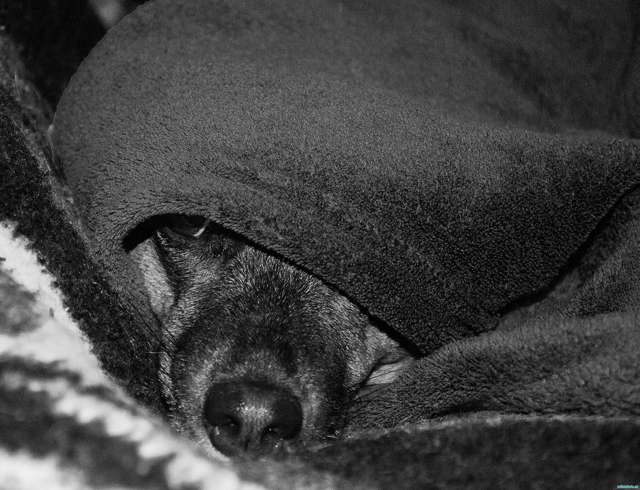 Photo d’inscription N°4 - louna.jpg