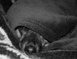 Photo d’inscription N°4 - louna.jpg