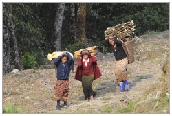 Parfois nos enfants se plaignent