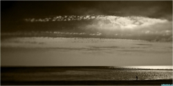 Pointe d'Agon (Manche)