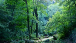 Le Chemin