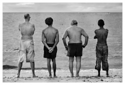 Les Daltons